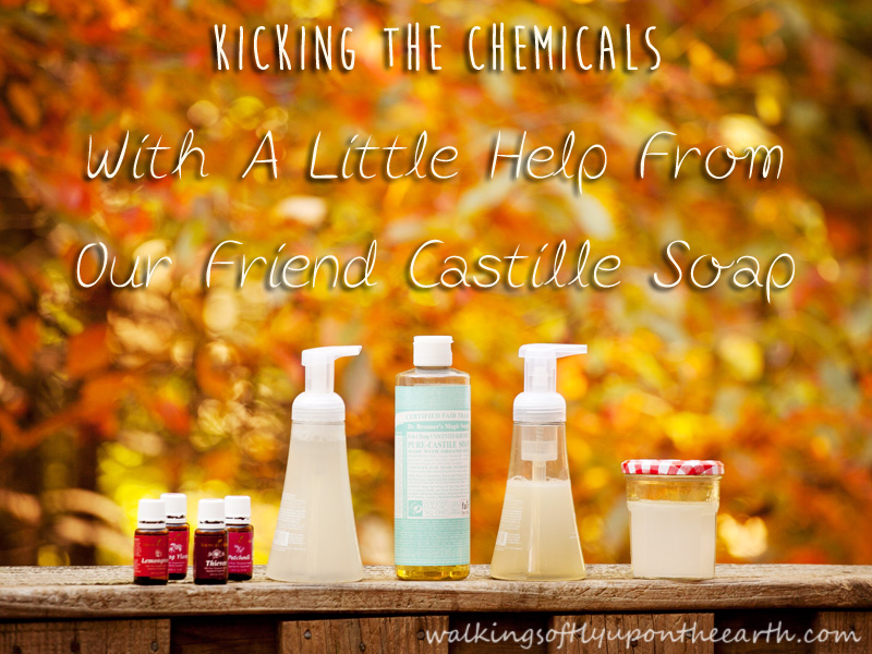 Recipes With Castille Soap